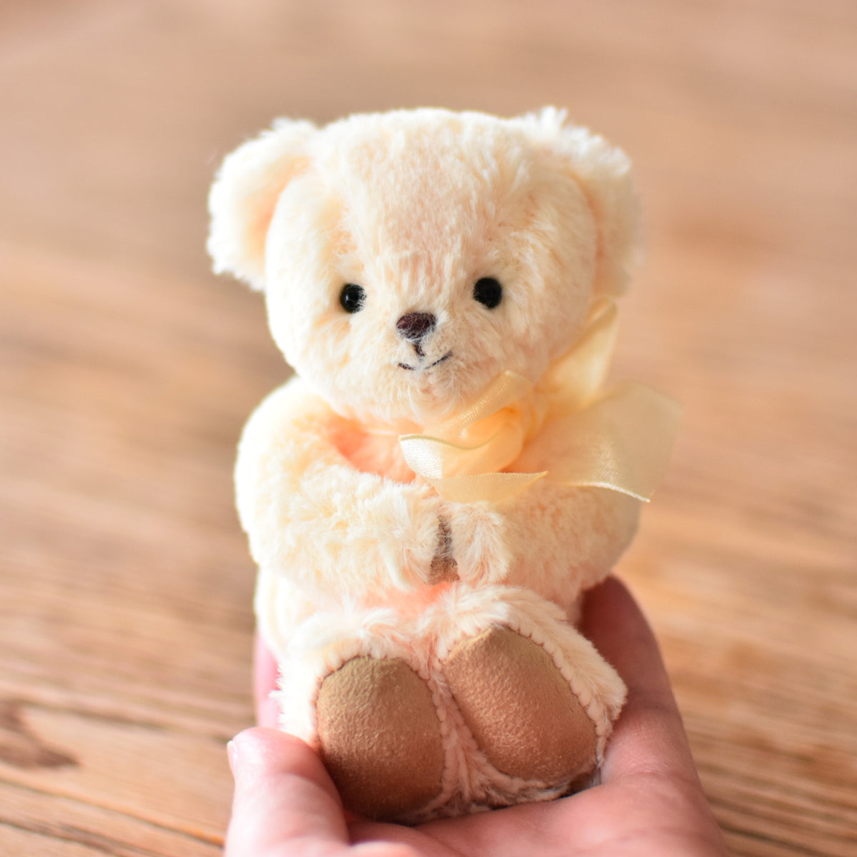 Teddy Bear FUU – TeddyBear Life