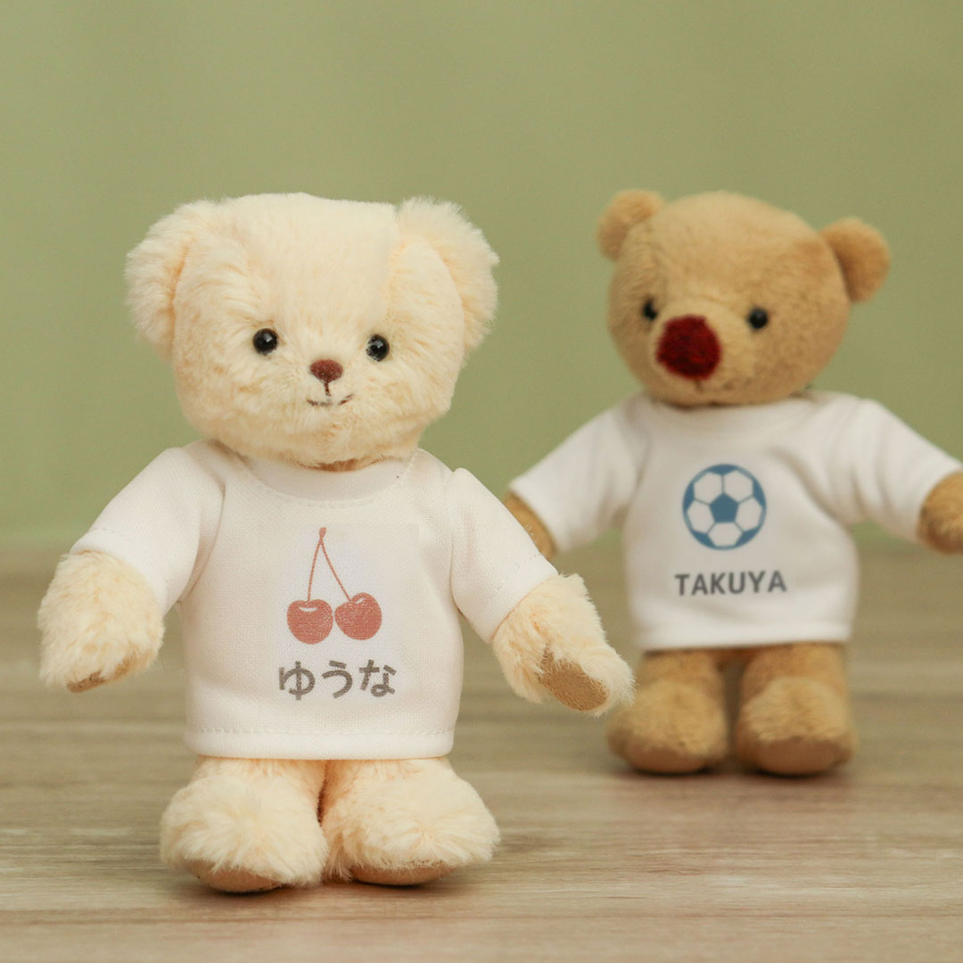 Teddy Bear Keychain with Custom Print – Teddy Bear Life