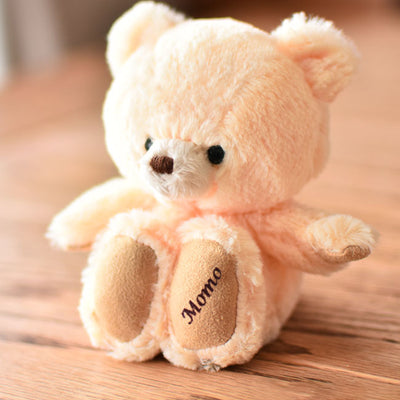 The Cutest Personalized Gifts For Everyone : Teddy Bear with Your Message On It