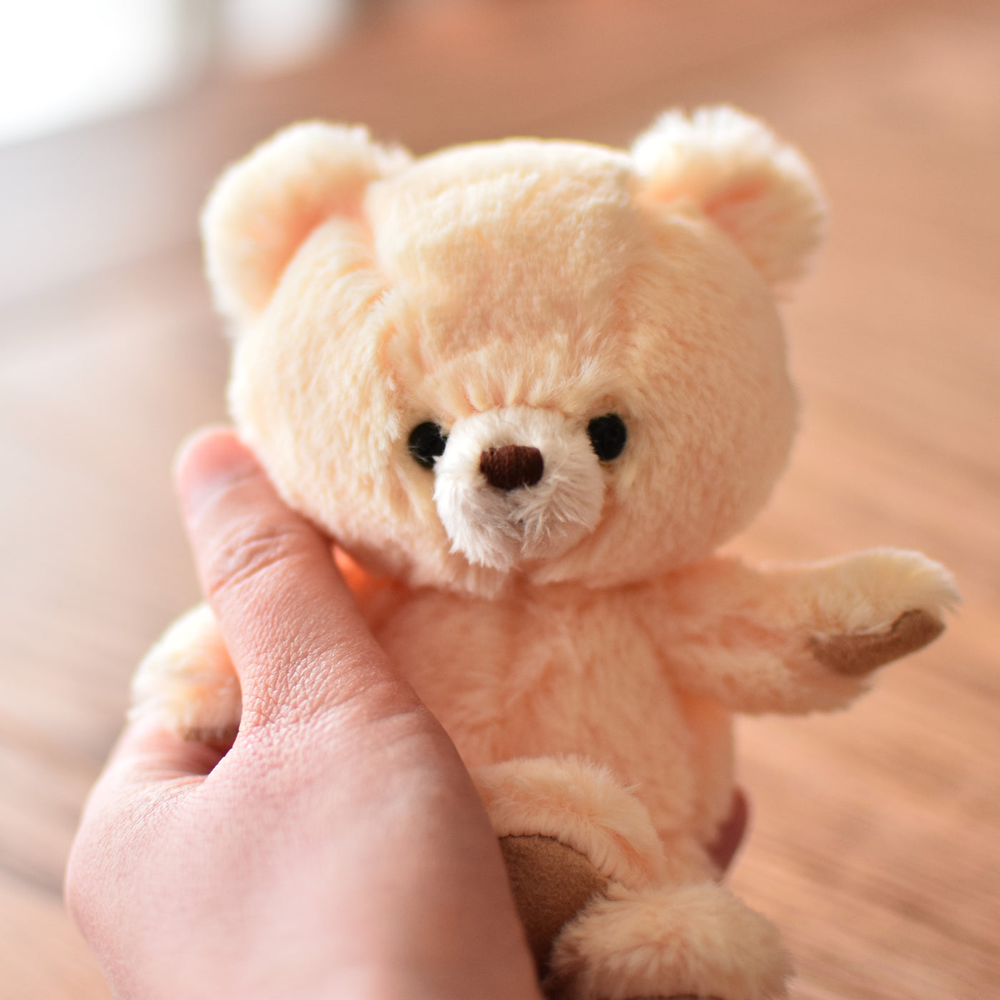 Teddy Bear, porte-clés