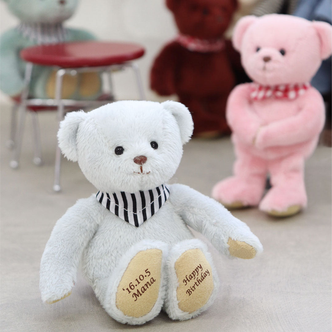 Personalisierter Teddybär -Schlüsselbauern