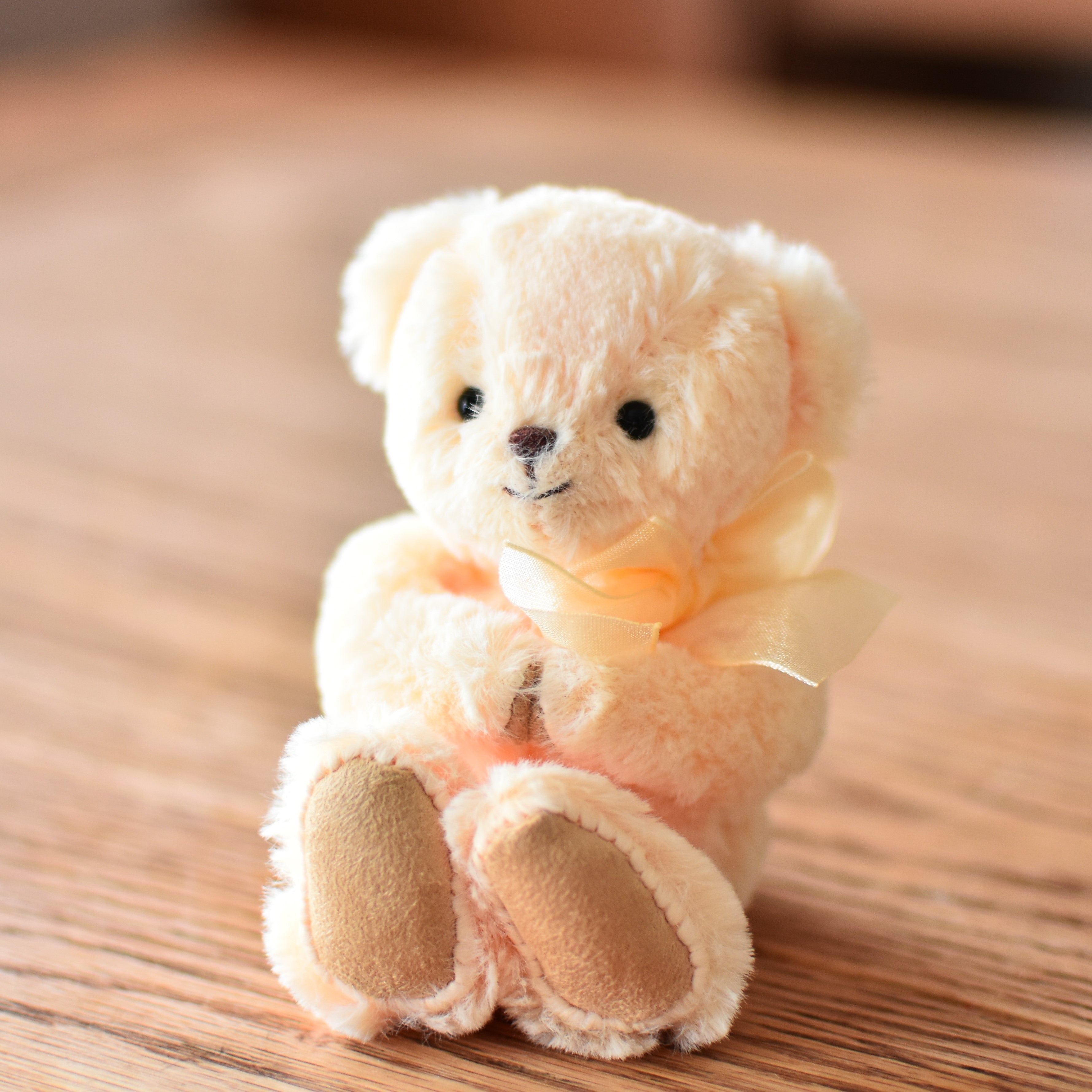 私のテディベア – Teddy Bear Life
