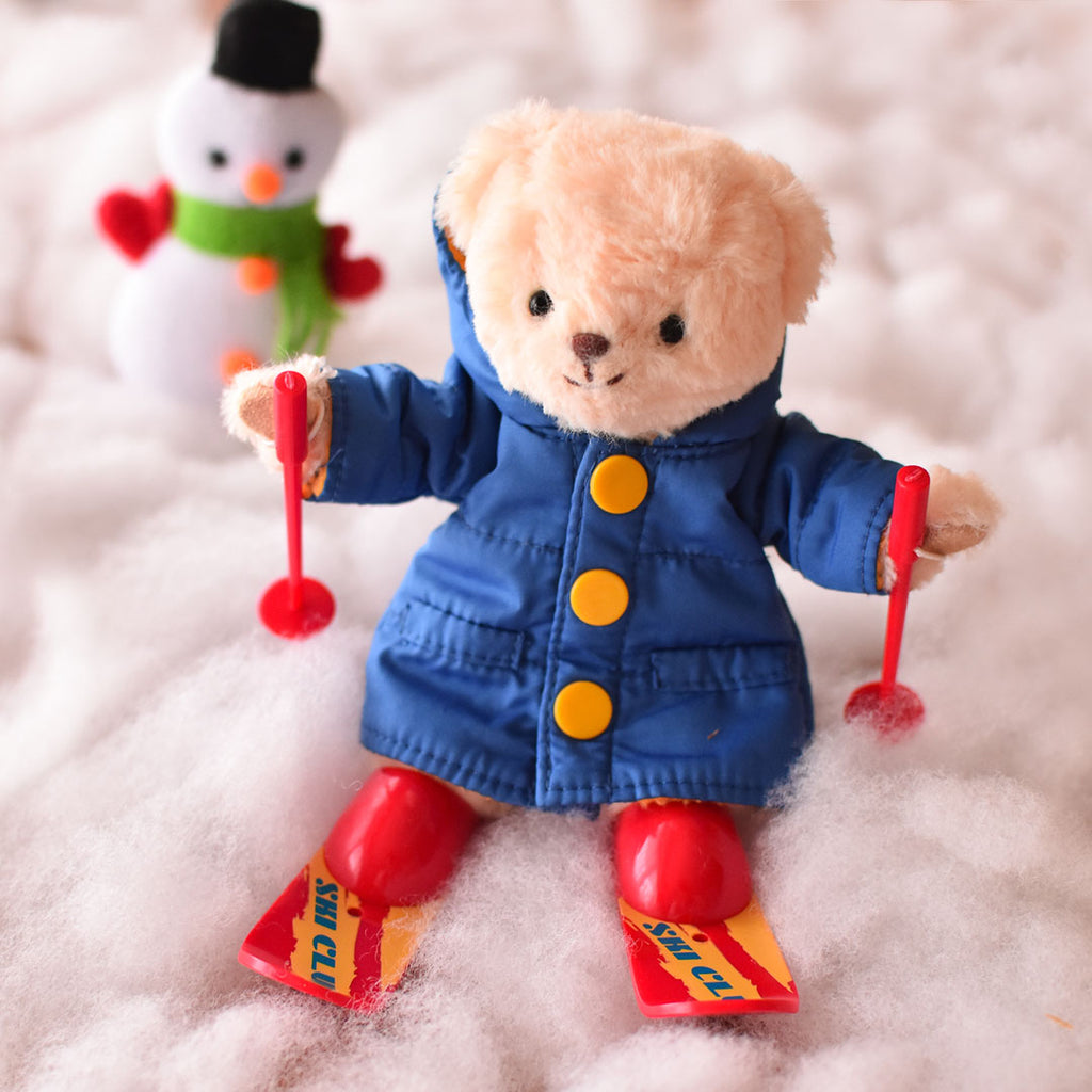 Ski boards and poles – Teddy Bear Life