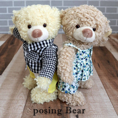 Posar muñeca de oso con ropa extraíble