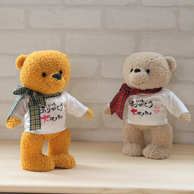 Mensaje japonés Teddy Bear